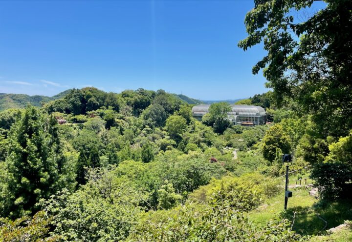 牧野植物園