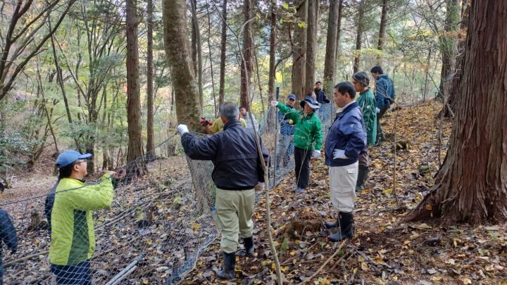 高縄山で防鹿ネットの敷設をしました